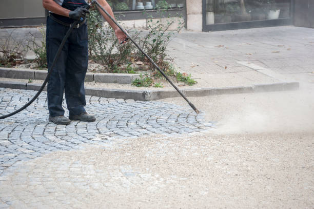Best Driveway Pressure Washing  in Brandermill, VA