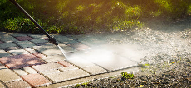 Best Animal Enclosure Cleaning  in Brandermill, VA